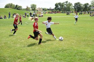 �������ˣ���ũ��ѧ���ɱ�ɡ�С���ǡ�